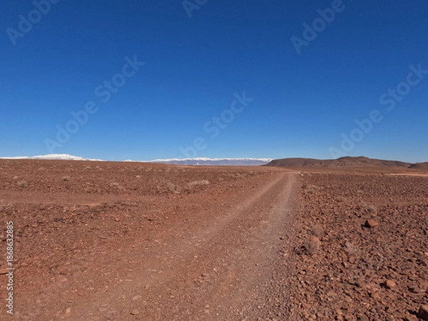Obraz Dirt Road Through Desert Landscape