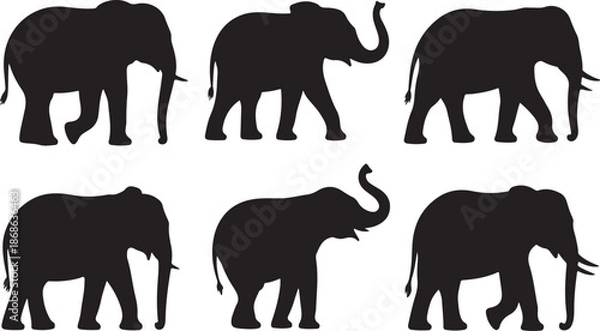 Obraz Elephant silhouettes