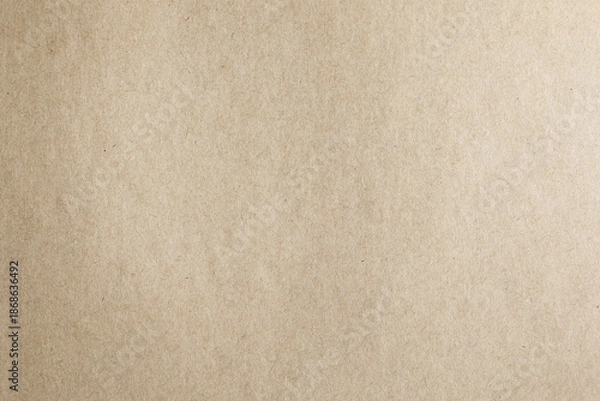 Obraz Pale brown paper parchment texture