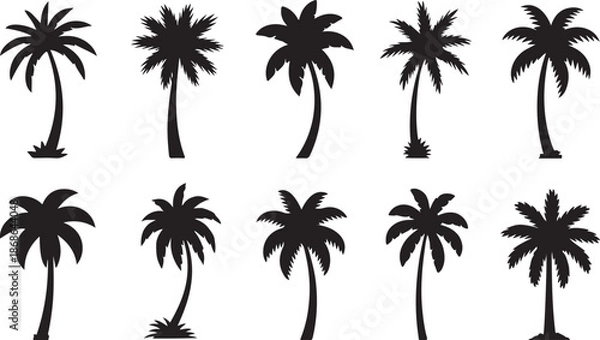 Obraz Palm silhouttes