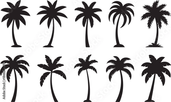 Obraz Palm silhouttes