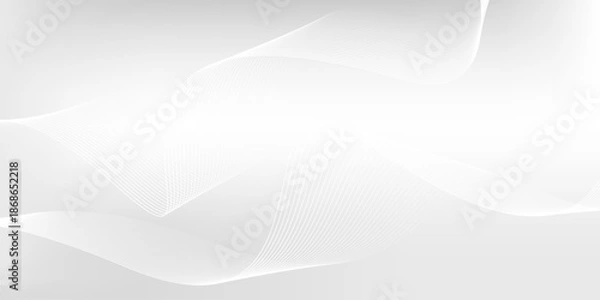 Fototapeta Minimalist white gray gradient background with dynamic flowing line elements