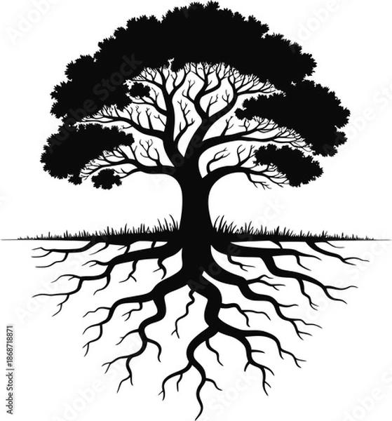 Obraz Large Tree With Deep Roots
