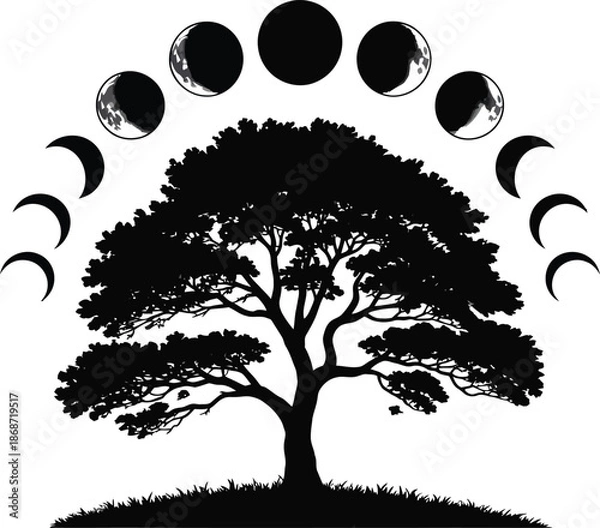 Obraz Moon Phases Over Sprawling Tree