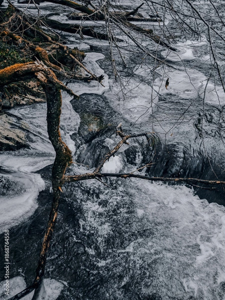 Obraz Ice Along a Flowing Winter Stream cold winter