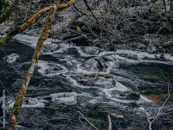 Obraz Ice Along a Flowing Winter Stream cold winter