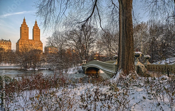 Obraz Bow bridge after light snowing