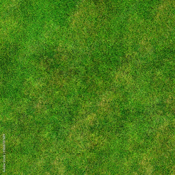Obraz Worn Patchy Green and Brown Grass Texture