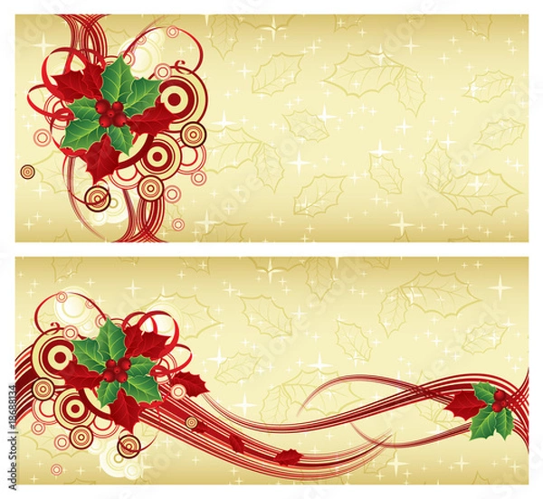 Obraz 4x9 Rack Card Brochure Template