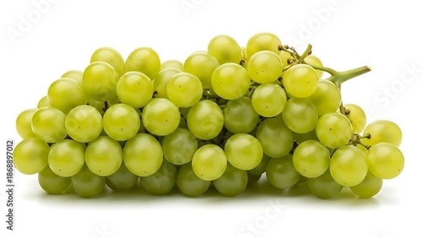 Obraz Fresh Green Grapes Cluster