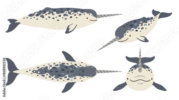 Obraz Narwhal Set Vector Illustration