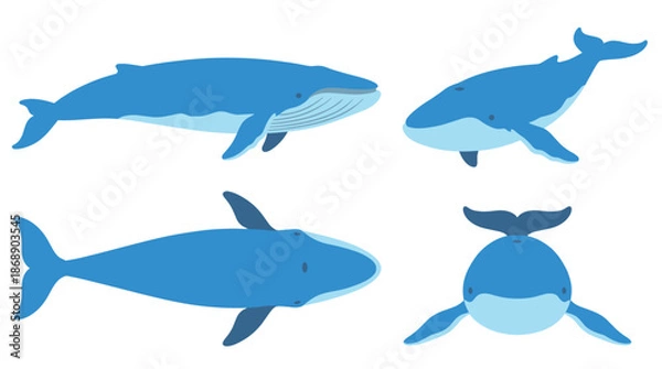 Obraz Blue Whale Collection Vector Illustration