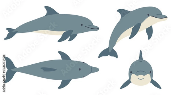 Obraz Dolphin Collection Vector Set