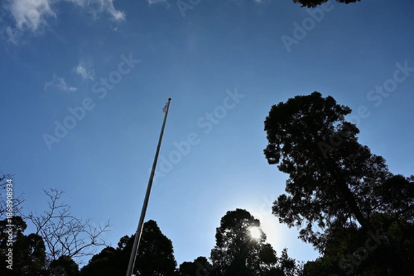 Obraz 木漏れ日と見上げる日本国旗