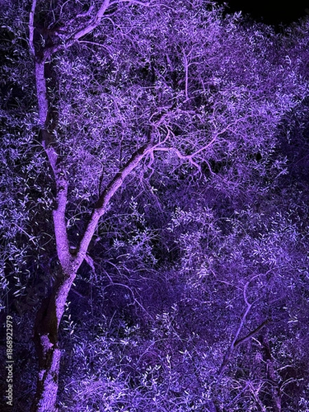 Obraz Tree in purple light at night