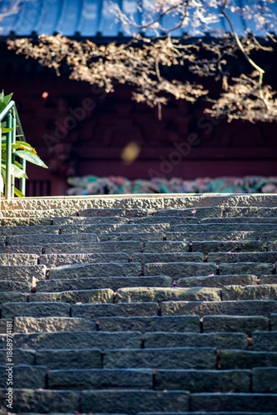 Fototapeta 鎌倉2515　妙本寺6　落ち葉