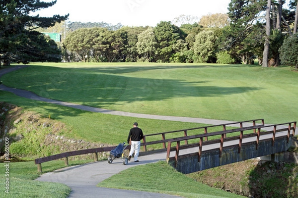 Obraz golfer walking on a bridge