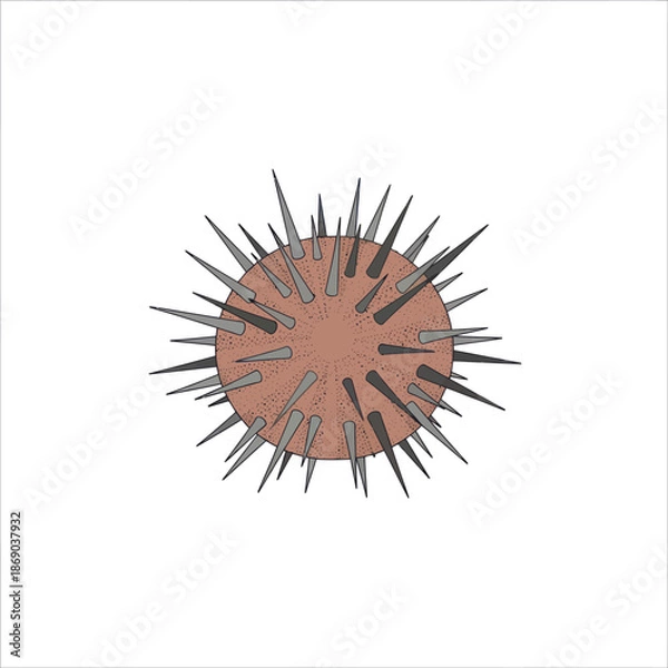 Fototapeta Adobe Illustrator Artwork