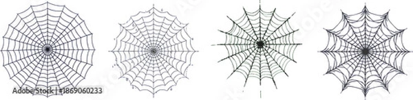 Obraz spider web set on a white background