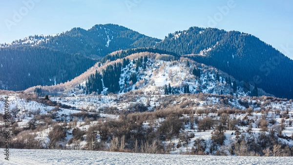 Obraz winter landscape with mountains