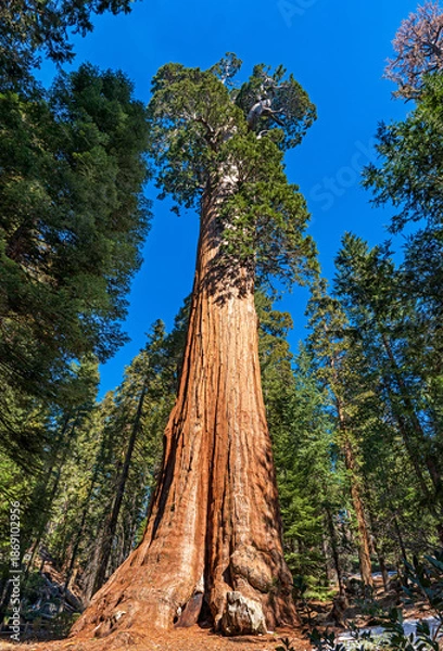 Obraz General Sherman