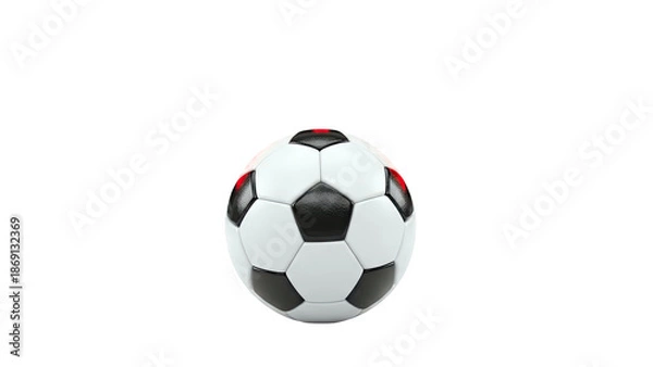 Obraz Classic Soccer Ball