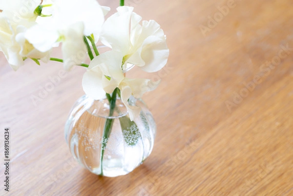 Obraz 花,スイートピー,門出,成人式,インテリア