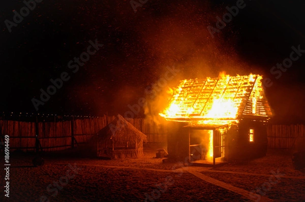 Obraz fire in the house