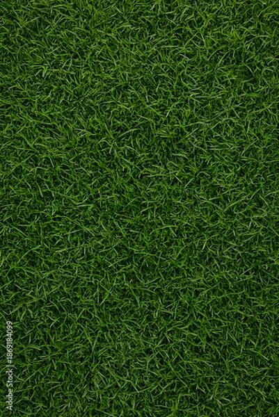 Obraz green lawn grass top view angle
