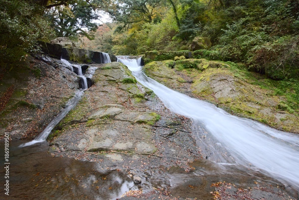 Fototapeta 熊本県の菊池渓谷、四十三万滝