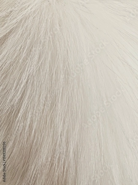 Obraz fluffy texture. fluffy white. fluffy background.