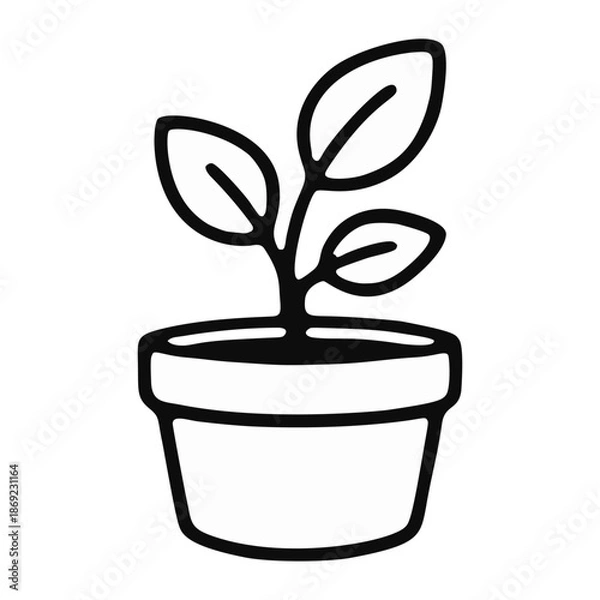 Obraz plant in pot
