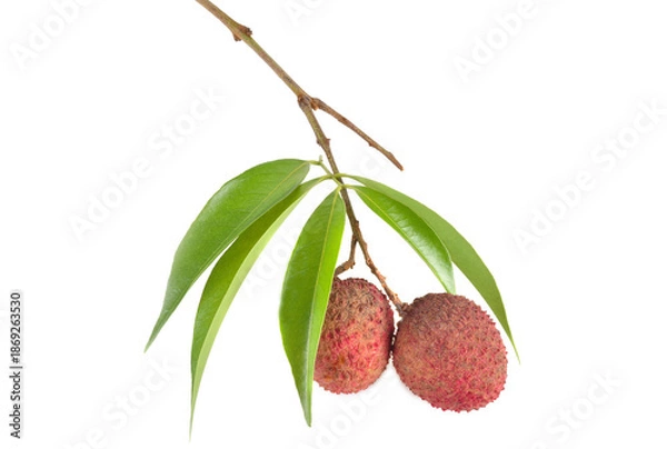 Obraz Lychee with leaves isolated on white background.