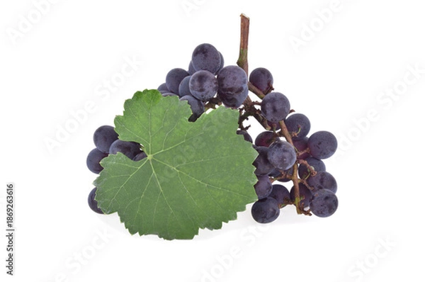 Obraz Black grape isolated on the white background