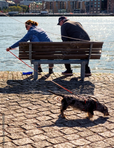 Obraz Different Point of Views