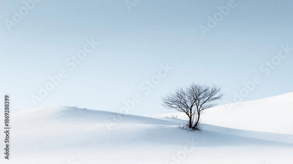 Obraz minimal winter background soft light white snow clean composition
