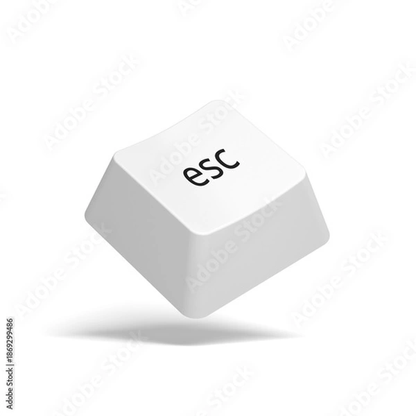Obraz White esc key. Button. 3d illustration.