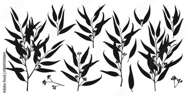 Obraz Eucalyptus branches silhouettes collection vector
