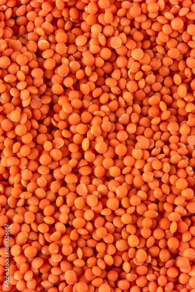 Obraz red lentils background