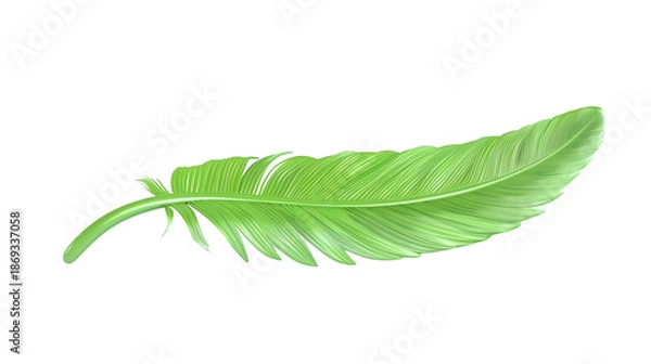 Obraz Green feather 3D render icon isolated on white background