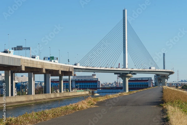 Obraz かつしかハープ橋