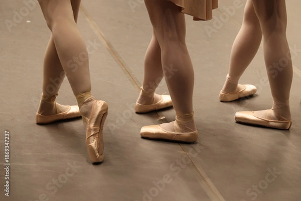 Obraz トウシューズを履いたバレエダンサーの脚