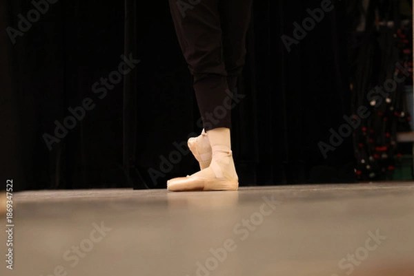 Obraz トウシューズを履いたバレエダンサーの足