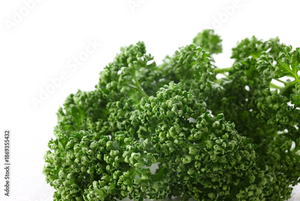 Obraz パセリ　白バック