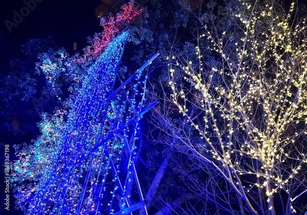 Fototapeta 太田市粕川町「町民の森公園」の滝のイルミ2