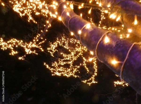 Fototapeta 太田市粕川町「町民の森公園」の木のイルミ2