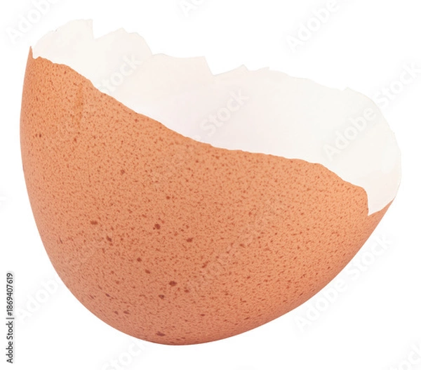 Obraz broken egg shell