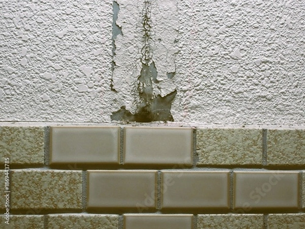 Obraz 破損した古い壁