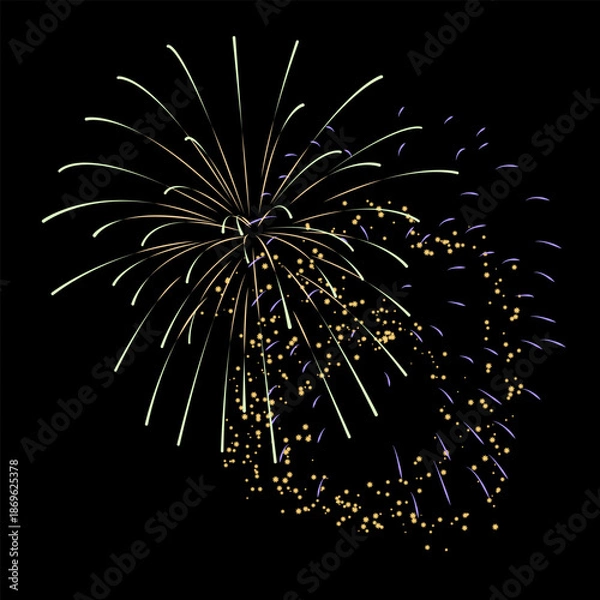 Obraz Firework Vector with black background.