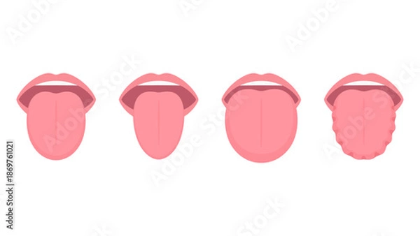 Obraz 舌の大きさと形のイラスト